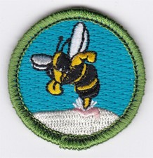 MERIT BADGE - SPOOF - BEE STING - 1-1/2" DIA. - PRIVATE ISSUE - GREEN BORDER