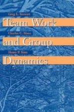 Team Work and Group Dynamics - 0471197696, paperback, Greg L Stewart