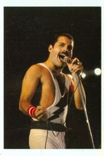 CELEBRITY-FREDDIE MERCURY-QUEEN-4