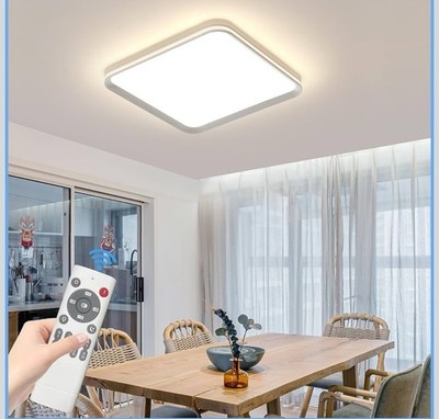 Mikeru Vollspektrum Deckenleuchte, moderne 60cm ultraflache Deckenleuchte mit Re