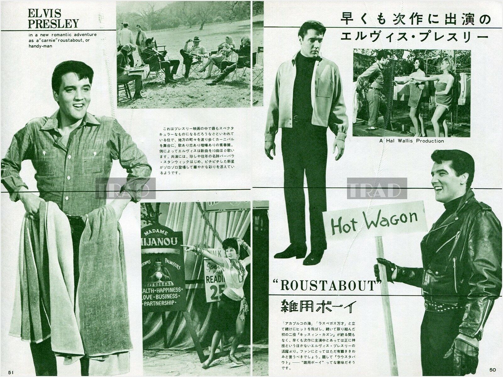Japan Maker New ELVIS PRESLEY Special Campaign Roustabout 1964 Vintage 2-SHE Picture JPN Clipping