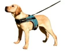 Pet Harness, LED Dog Vest Harness Strap for Medium Large Dog (XL, Blue)