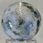 Picture 4 of 18