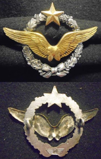 INSIGNE MILITAIRE – BREVET PILOTE D'AVION LOGO ARMÉE DE L 'AIR