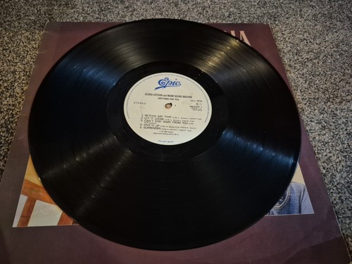 GLORIA ESTEFAN ANYTHING FOR YOU VINYL ALBUM LP (ORIGINAL 1988) - Picture 6 of 6