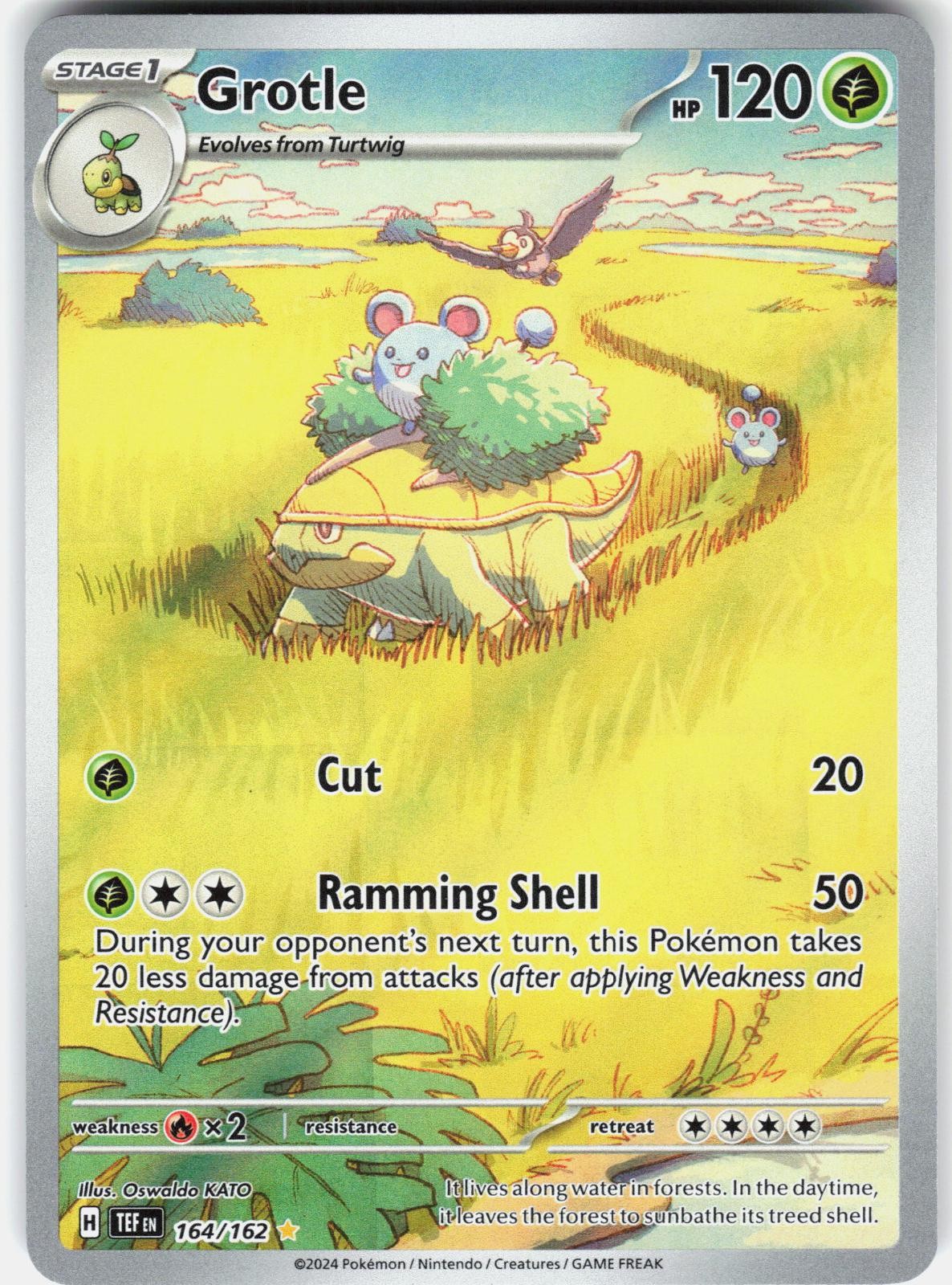 Pokemon Grotle 164/162 Illustration Rare Temporal Forces Pokemon Near Mint