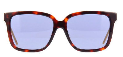 New GUCCI GG0599SA 002 56mm Brown Havana Web Gold Square  display picture 1