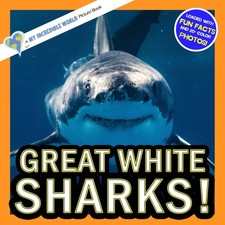 Great White Sharks!: A My Incredible World Picture Book for Children (My Incredi