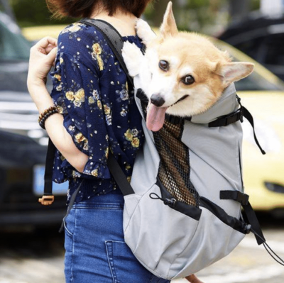 Breathable Pet Dog Cat Carrier Bag Backpack Sports Outdoor Riding
