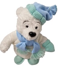 Walt Disney World Plush Pooh Bear White Winter Fun Blue Hat Scarf Sweater