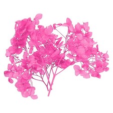 10g Mini Dried Hydrangea Flower Natural Pressed Flower Real Hydrangeas Rose Pink