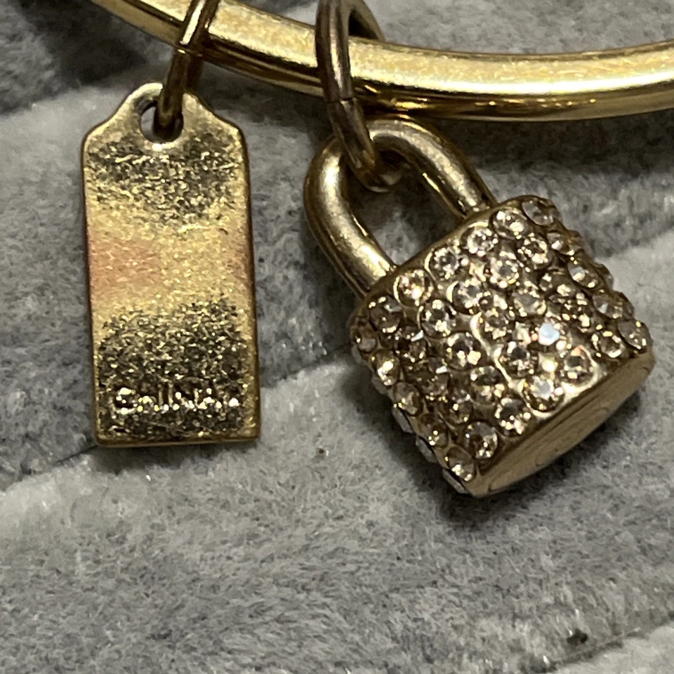 Pulsera con candado de diamantes de imitación Coach Foto 4 de 4