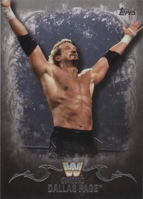 Divas Championship Silver