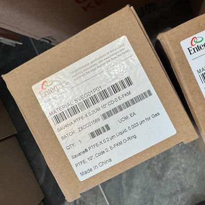 1PC Brand New Entegris SVEG01P01 Filter Fast transportation