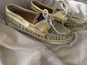 sperry koifish core