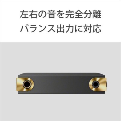 SONY WALKMAN NW-ZX707 64GB Hi-Res ZX Series Audio Player Black