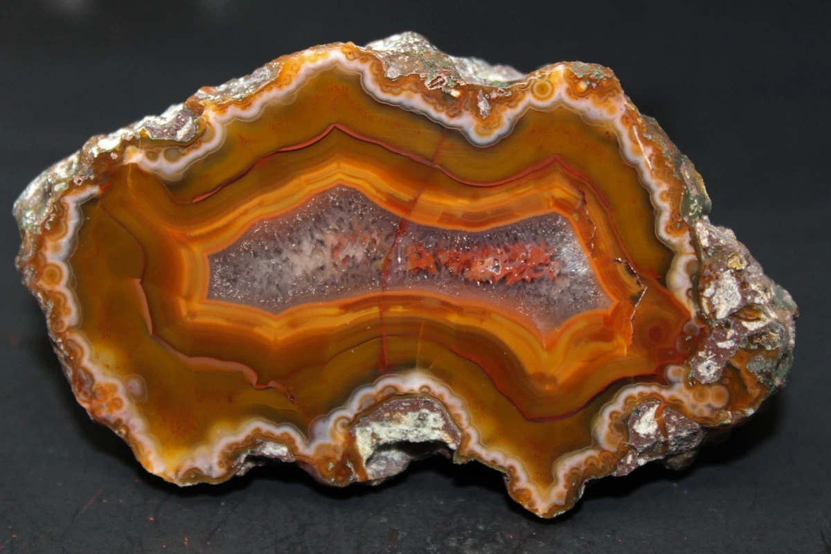 【コレクターズアイテム】コンドルアゲート Condor Agate for sale | eBay