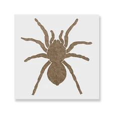 Tarantula Stencil - Durable & Reusable Mylar Stencils