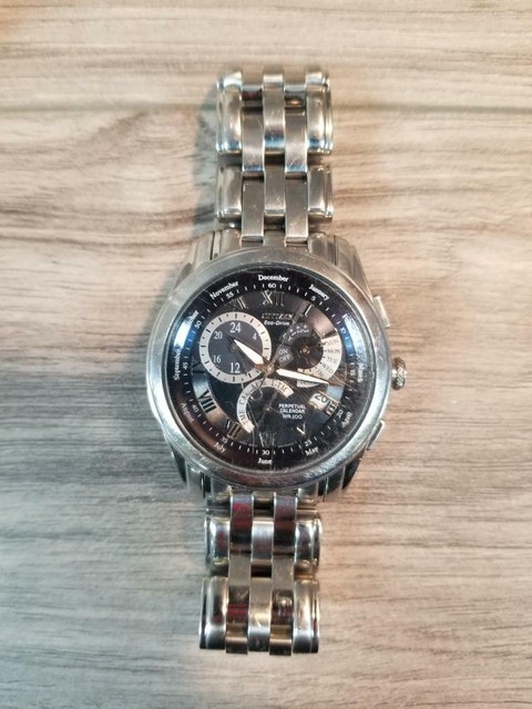 citizen e870 watch