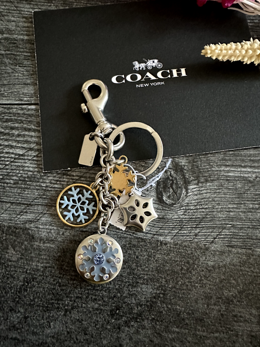 Coach Snowflake Cluster Bag Charm Keychain C7100 Silver/Multi New