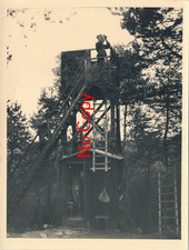 Foto Wehrmacht Luftwaffe Soldaten Beobachter Hochstand getarnt Baum WK2 x278