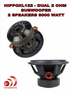 massive 12 inch subs