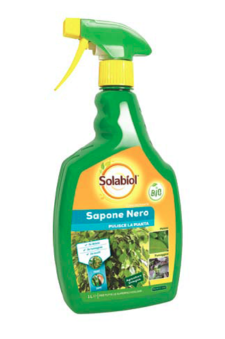 Sapone Nero Lava Melata RTU Solabiol 1 L