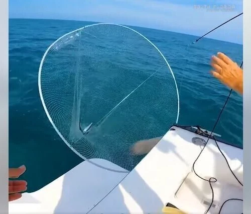 Landing Fishing Nets for sale - eBay Landing Fishing Nets for sale - eBay