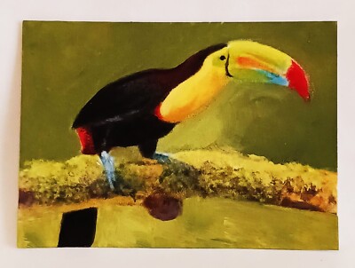 Toucan Bird ACEO Original Animal hand PAINTING by Leslie Popp