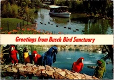Busch Gardens Tampa Florida Bird Sanctuary c1970