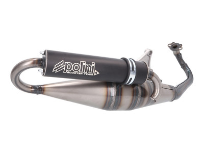 Gilera DNA 50 2T LC 05- Polini Team 4 Auspuff