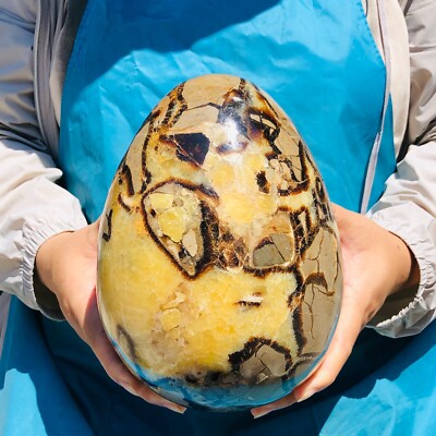 12.47LB Natural Turtle back dinosaur egg crystal quartz mineral healing 1947