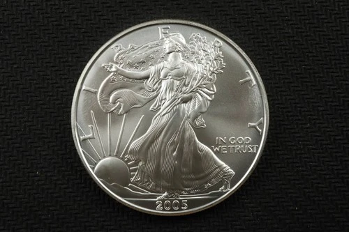 NobleSpirit Stunning Gem BU 2005 American Eagle 1oz .999 Silver Round Beautiful