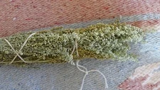 Wild Grown Organic Desert Sage- Smudge Sticks- Incense w/ Seeds