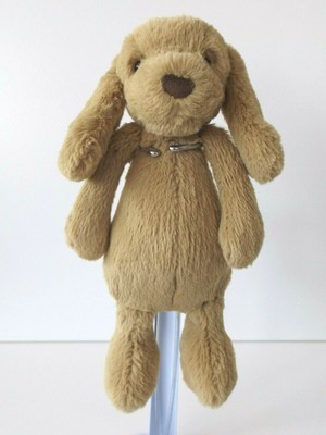 bashful toffee puppy