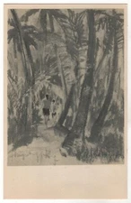 1966 VIETNAM WAR Country Lane Military combat armies Vintage OLD Postcard VR