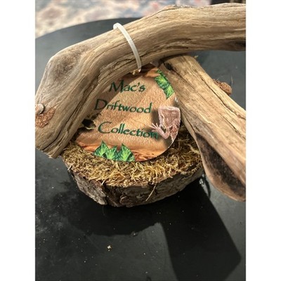 Macs Driftwood Collection Reptile Basking Platform Mossy Wood Climbing Branch