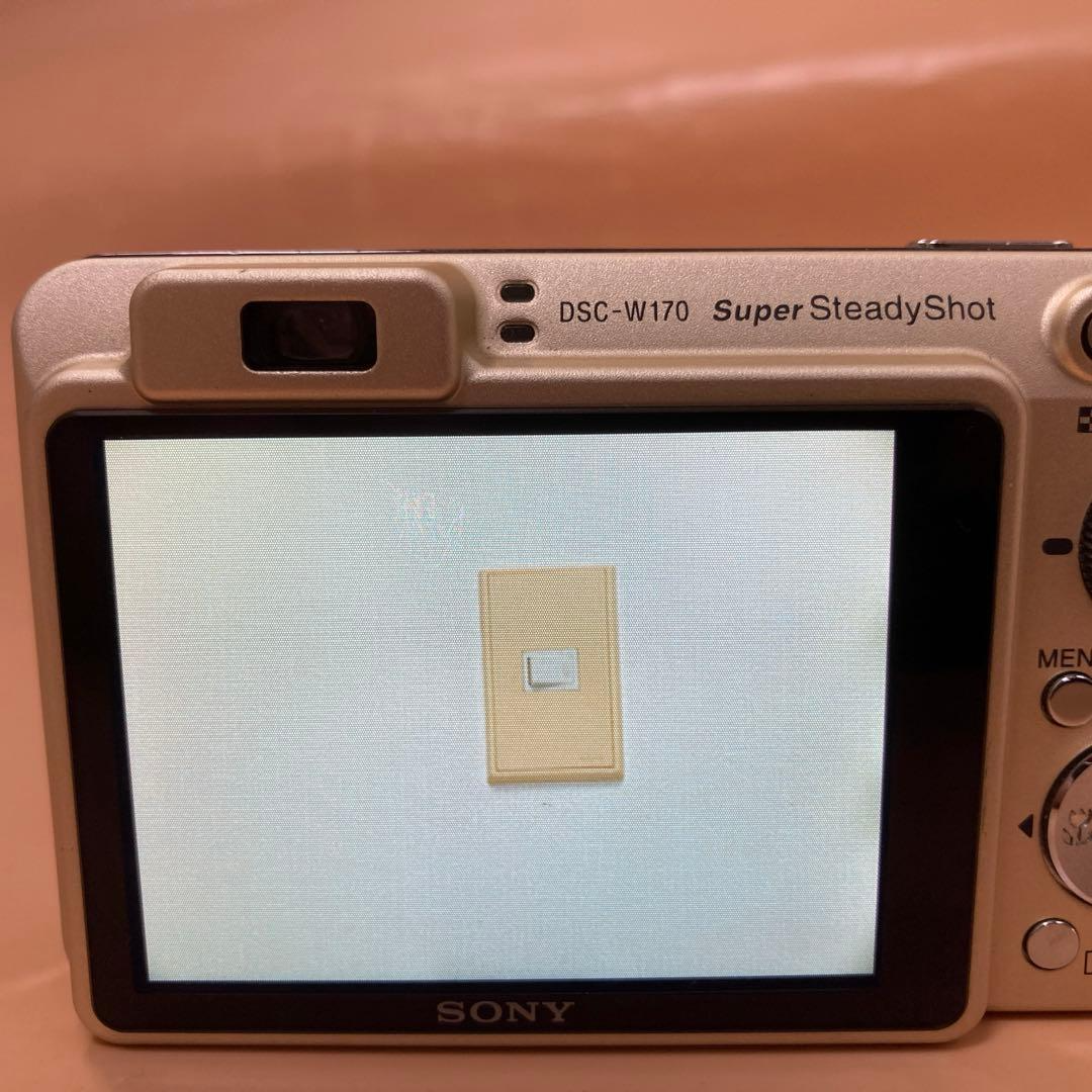 Sony Cyber-shot DSC-W170 10.1MP Digital Camera - Gold (with MS Pro