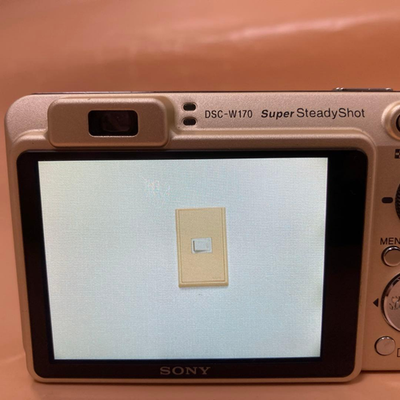 Sony Cyber-shot DSC-W170 10.1MP Digital Camera - Gold (with MS Pro