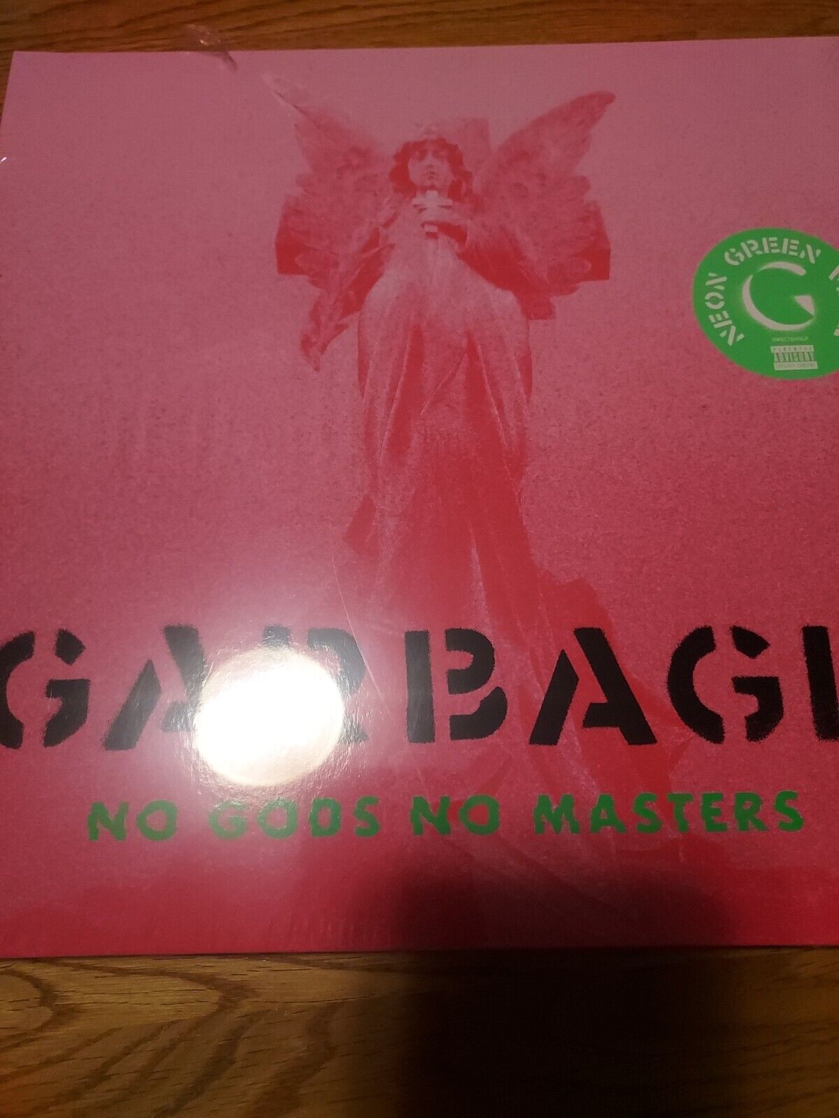No Gods No Masters by Garbage (Record, 2021)