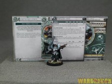 30mm Warmachine WDS painted Retribution of Scyrah Dawnlord Vyros j11