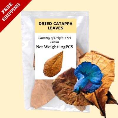 25 Pcs Dried Almond Catappa Leaves Betta Shrimp Ketapang Fish Aquarium Leaf
