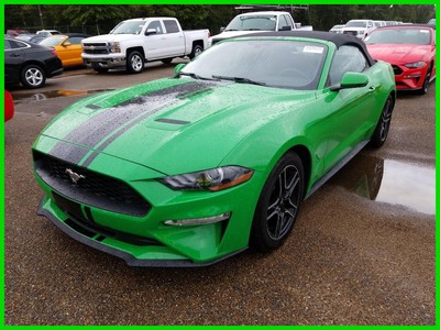 2019 Ford Mustang EcoBoost Premium 2019 Mustang Convertible EcoBoost Premium 10k miles 6-Speed Manual