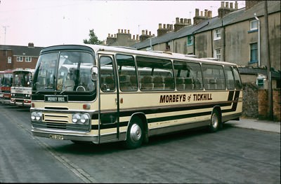 MED 385P Morbey, Tickhill 6x4 Qualitäts Bus Foto