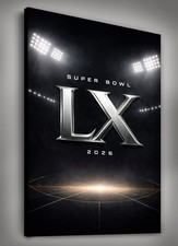 2012 NFL Experience Details and Highlights 20