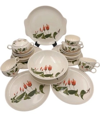 Vintage Salem Floral Cottagecore Dinnerware Service For 5 +Servers Primrose 30pc