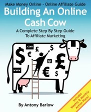 Make Money Online - Online Affiliate Guide: Building An Online C