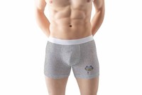 Boxershorts Herren GrüN GrößE L Sport-Slip UnterwäSche Modell-Nr