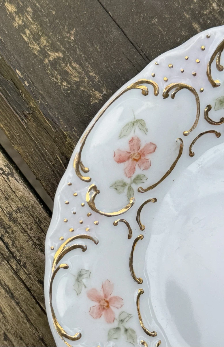 Pirkenhammer Plate Indiana Bohemian & Czech Art Pottery for sale