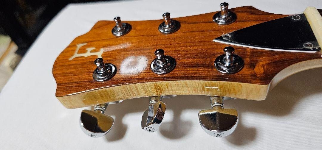 hide Jelly MG-115CGR X JAPAN Fernandez Electric guitar musical